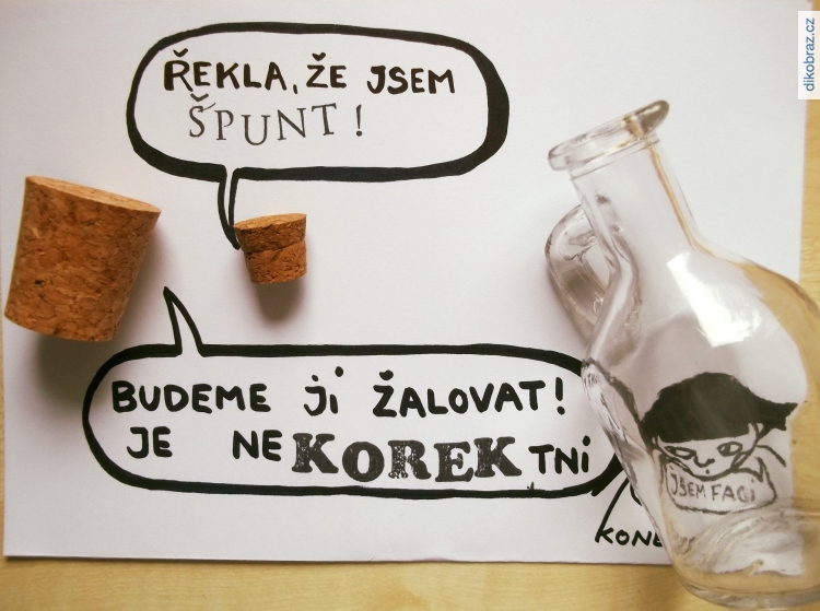 Fagi vtipy č.15606 - 