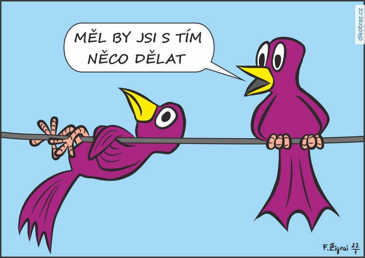 František Žigrai vtipy č.42760 - 