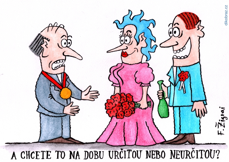 František Žigrai vtipy č.64720 -