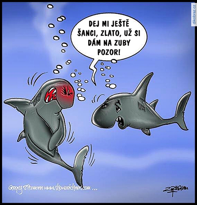 Georg Zitzmann vtipy č. - 