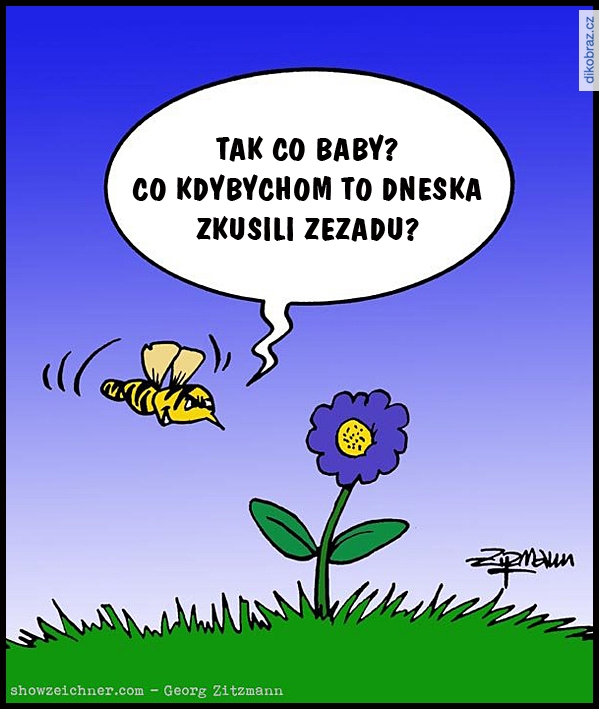 Georg Zitzmann vtipy č.79659 - 