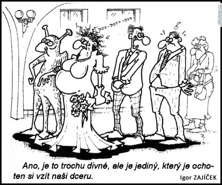 Igor Zajíček vtipy č.53944 - 