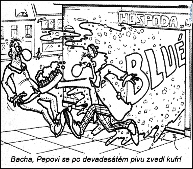 Igor Zajíček vtipy č.53945 - 