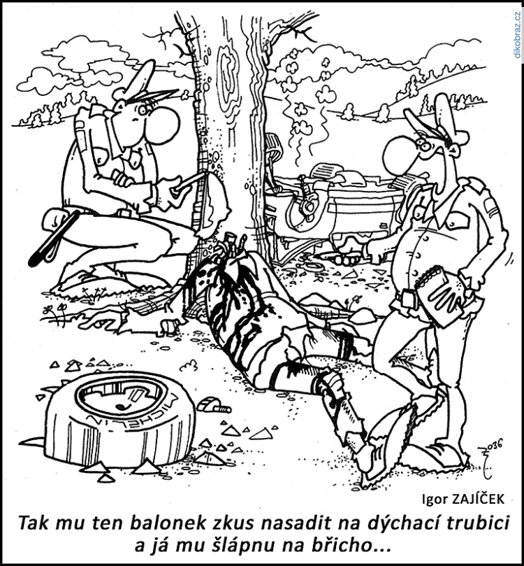 Igor Zajíček vtipy č.53948 - 