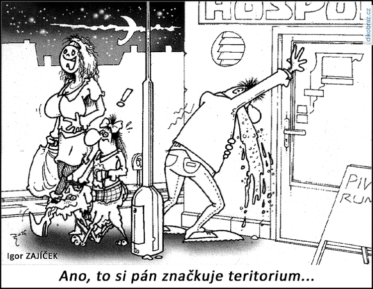 Igor Zajíček vtipy č.53950 - 