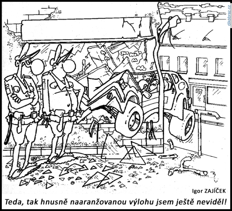 Igor Zajíček vtipy č.53951 - 
