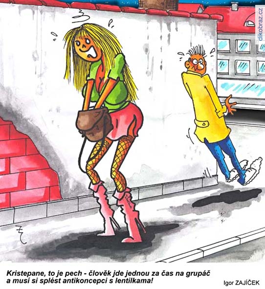 Igor Zajíček vtipy č.53967 - 