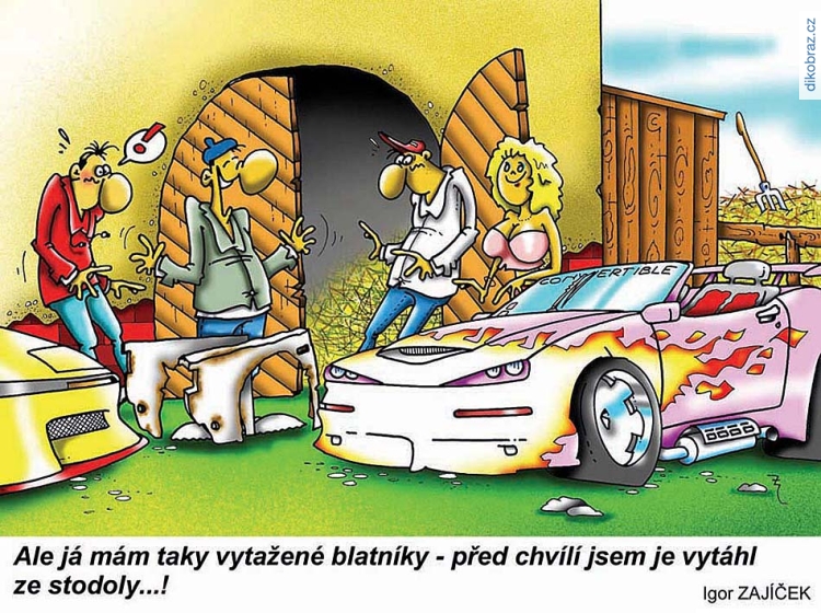 Igor Zajíček vtipy č.53975 - 