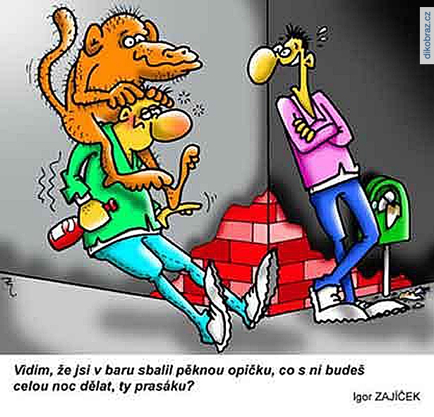 Igor Zajíček vtipy č.53983 - 
