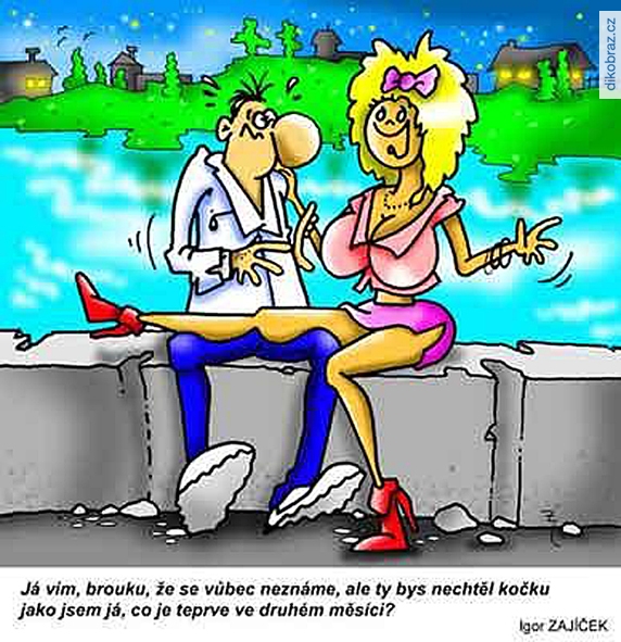 Igor Zajíček vtipy č.53994 - 