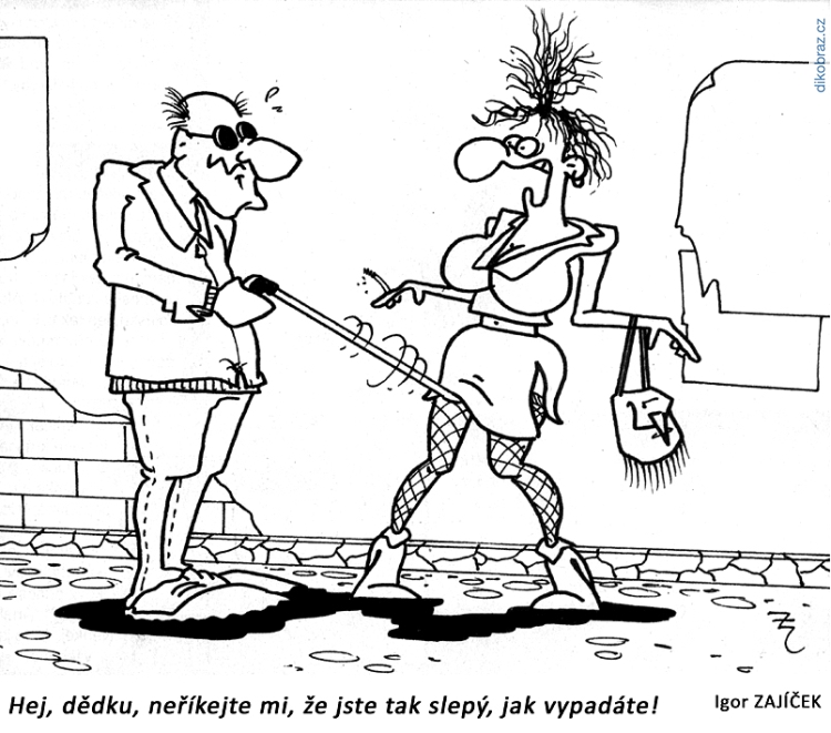 Igor Zajíček vtipy č.54005 - 