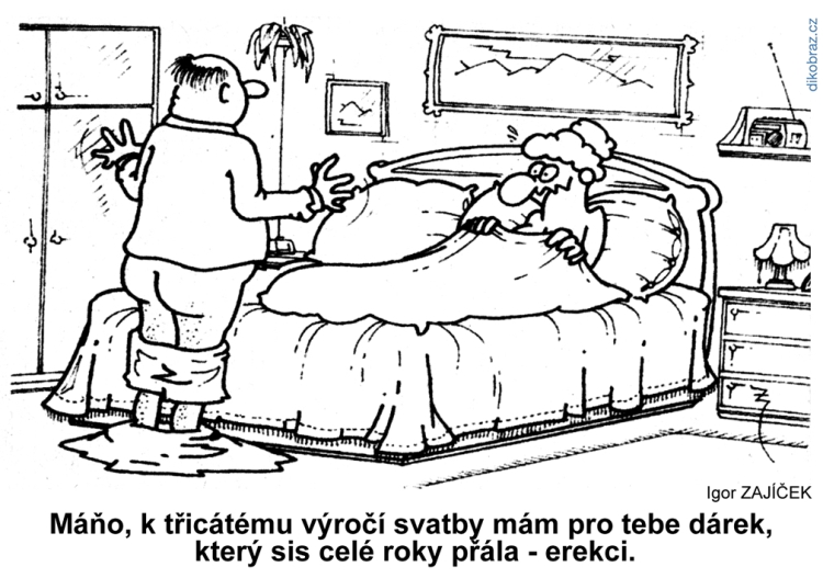 Igor Zajíček vtipy č.54006 - 