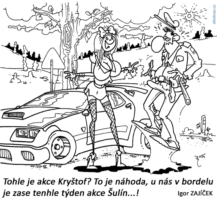Igor Zajíček vtipy č.54015 - 