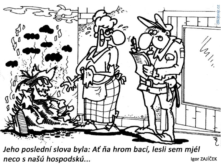 Igor Zajíček vtipy č.54019 - 