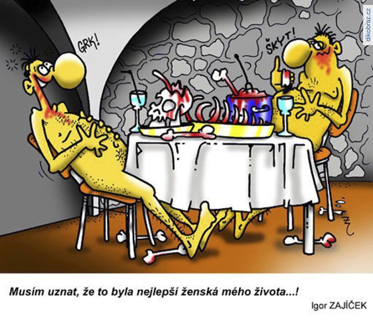 Igor Zajíček vtipy č.54022 - 