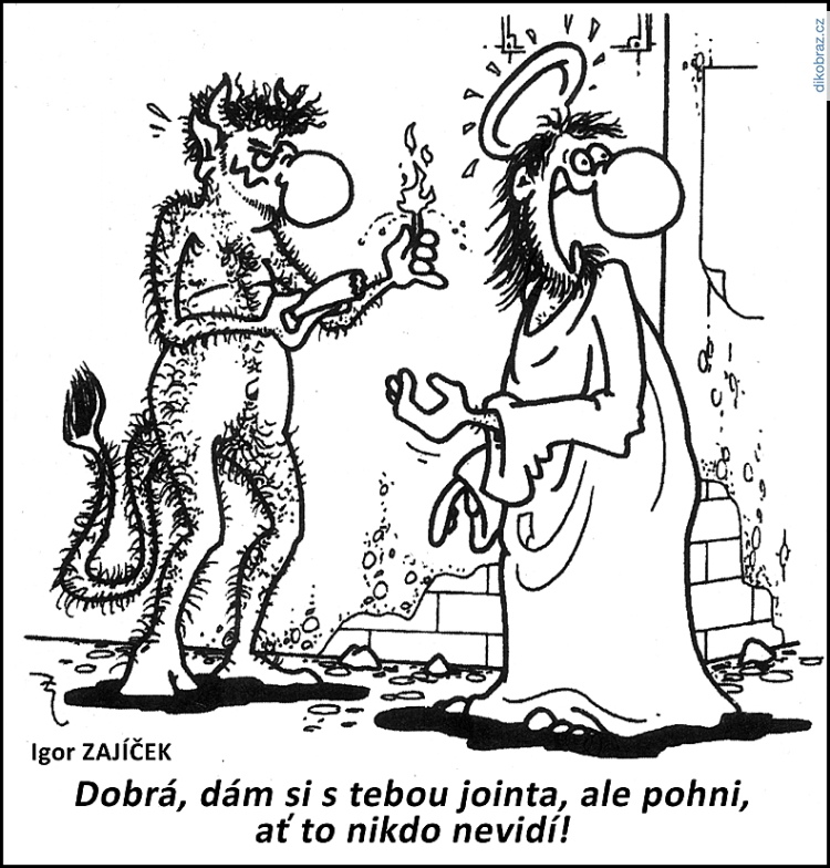 Igor Zajíček vtipy č.84694 - 