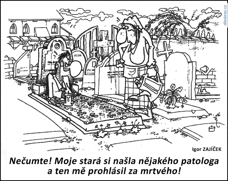 Igor Zajíček vtipy č.84701 - 