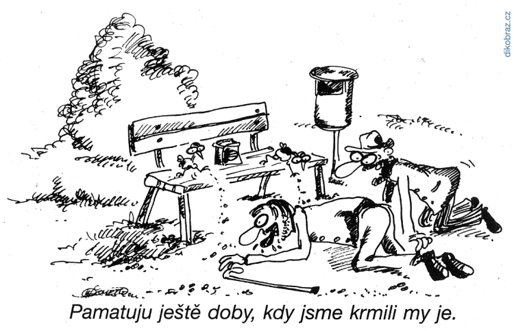 Ivan Křemeček vtipy č.54036 - 