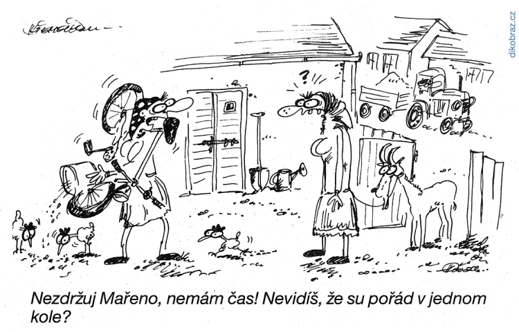 Ivan Křemeček vtipy č.54055 - 