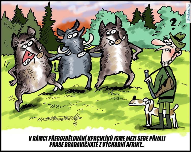 Ivan Křemeček vtipy č.54089 - 