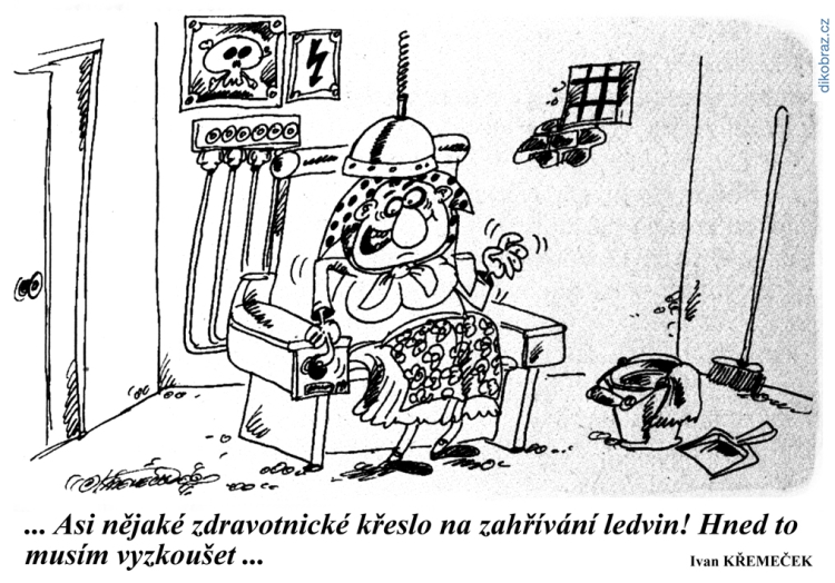 Ivan Křemeček vtipy č.54094 - 