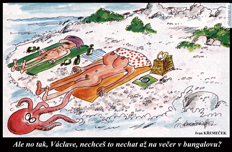 Ivan Křemeček vtipy č.54096 - 