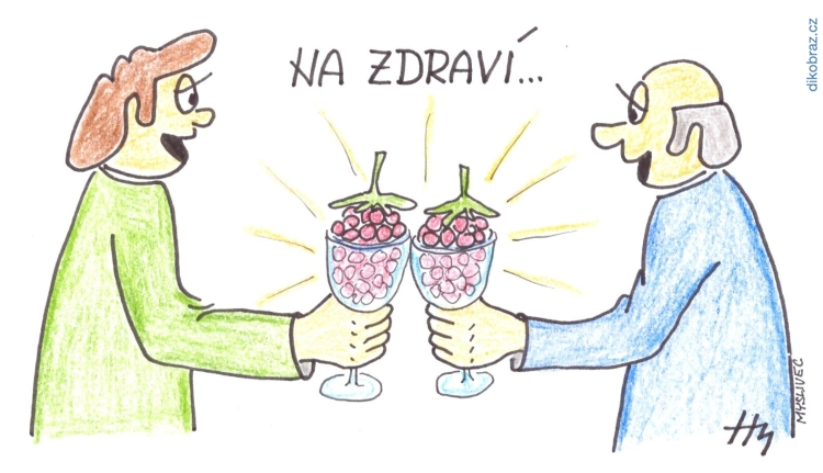 Jan Antonín Myslivec vtipy č.32071 - 