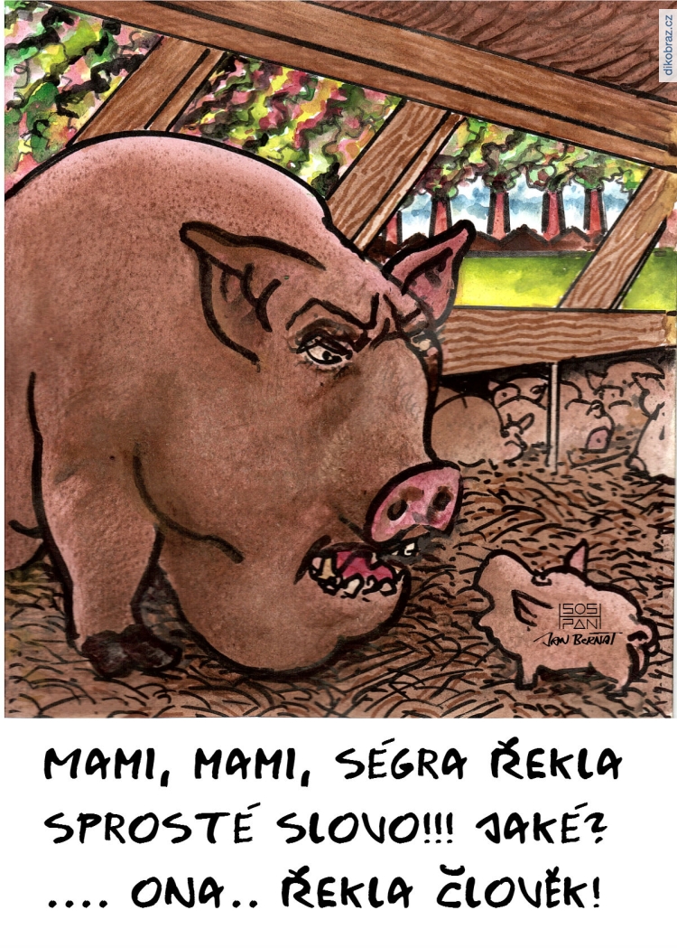 Jan Bernat vtipy č.2083 - 