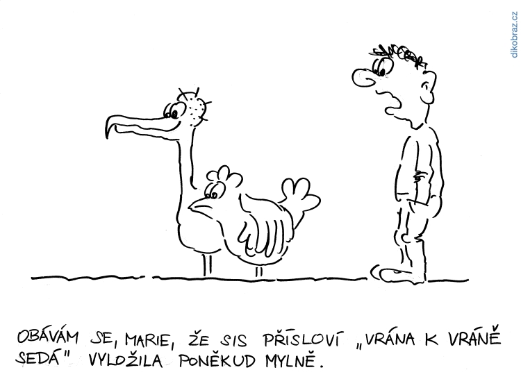 Jan Felger vtipy č. - 