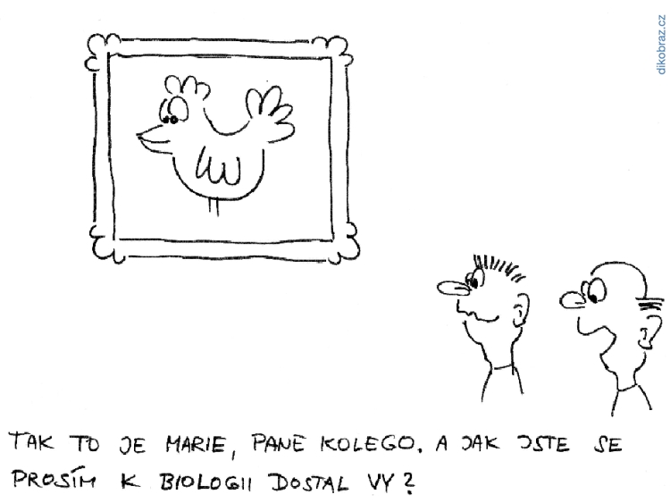 Jan Felger vtipy č. - 