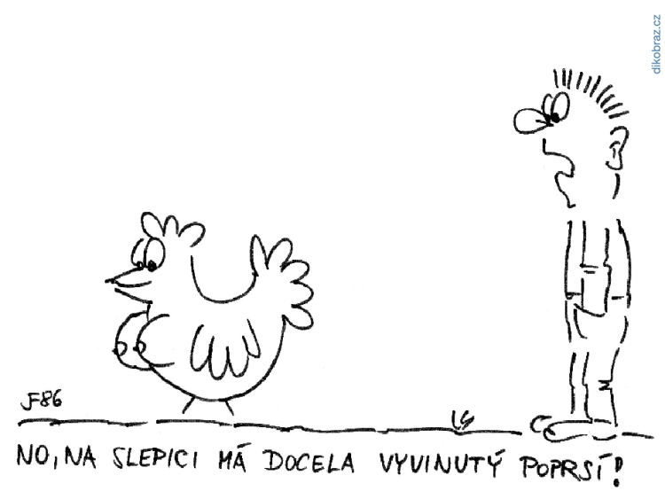 Jan Felger vtipy č. - 
