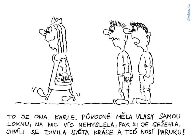 Jan Felger vtipy č. - 