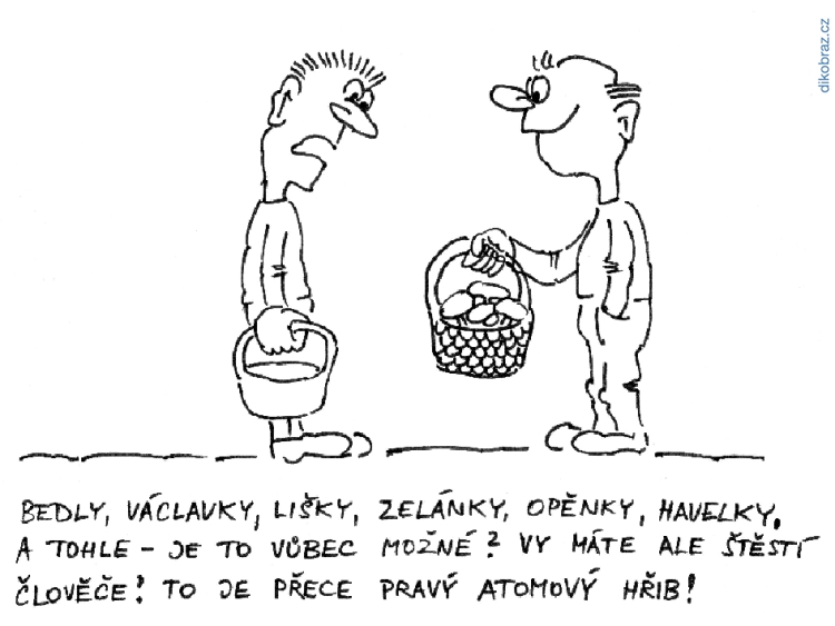 Jan Felger vtipy č. - 