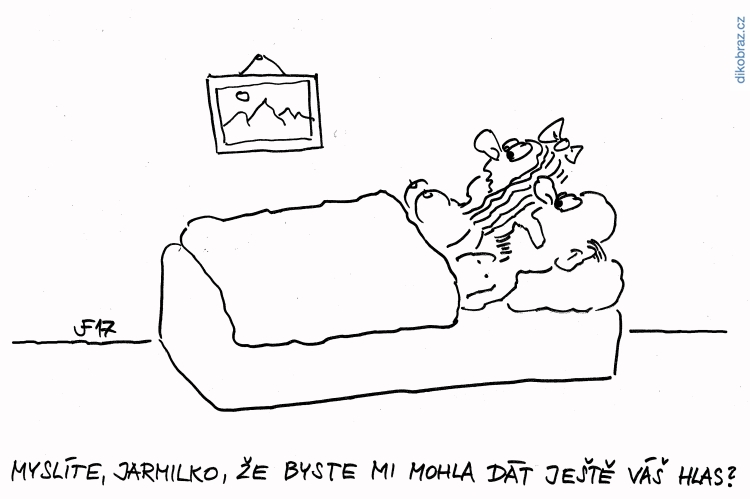 Jan Felger vtipy č. - Volby