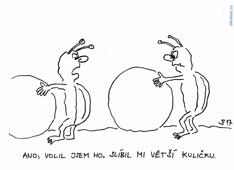 Jan Felger vtipy č.5758 - Volby