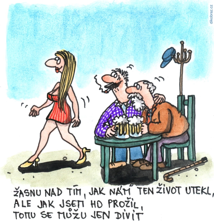Jan Heralecký vtipy č.34809 - 