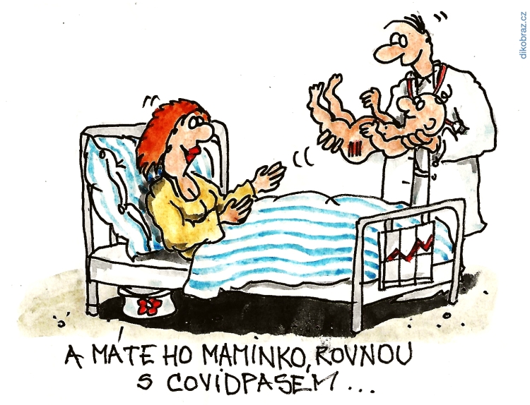 Jan Heralecký vtipy č.36374 - 