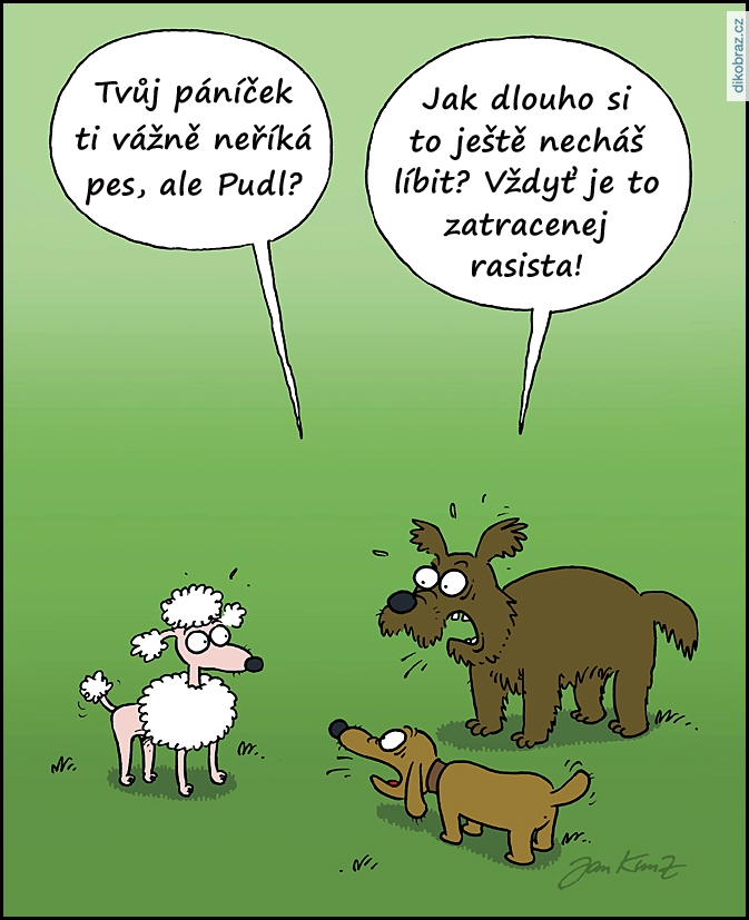 Jan Kunz vtipy č.51008 - 