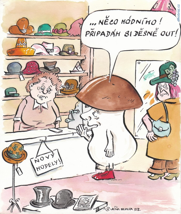 Jan Severa vtipy č.10323 - 