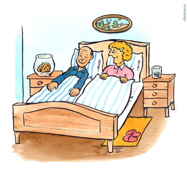 Jan Severa vtipy č.10373 - 