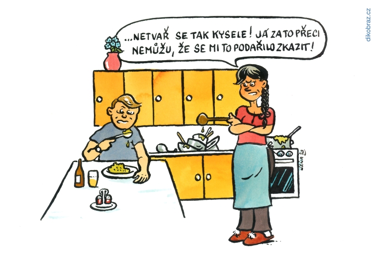 Jan Severa vtipy č.10733 - 