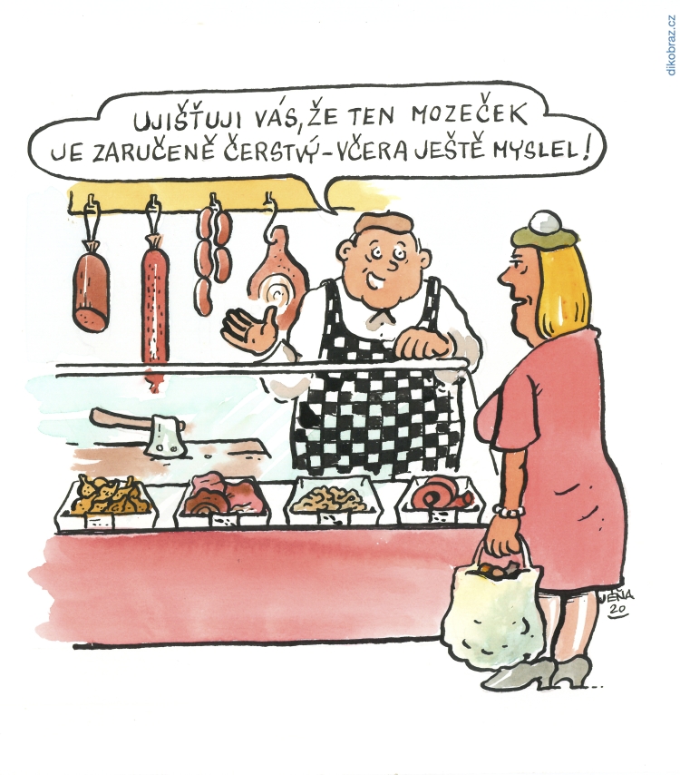 Jan Severa vtipy č.12403 - 