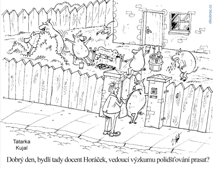 Jan Tatarka vtipy č.15502 - 