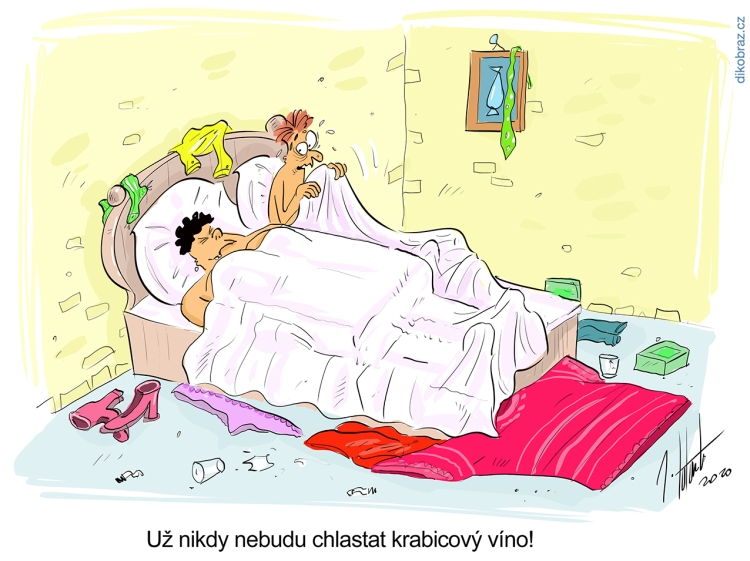 Jan Tatarka vtipy č.21787 - 