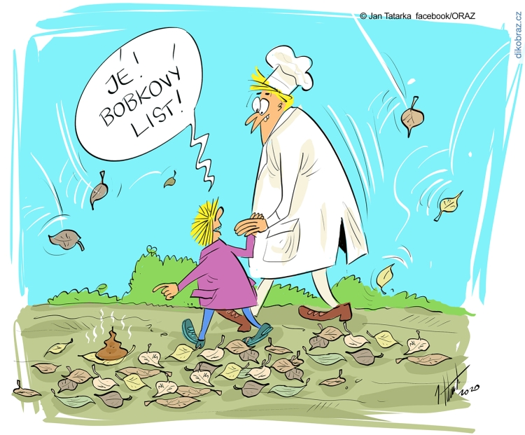 Jan Tatarka vtipy č.22351 - 