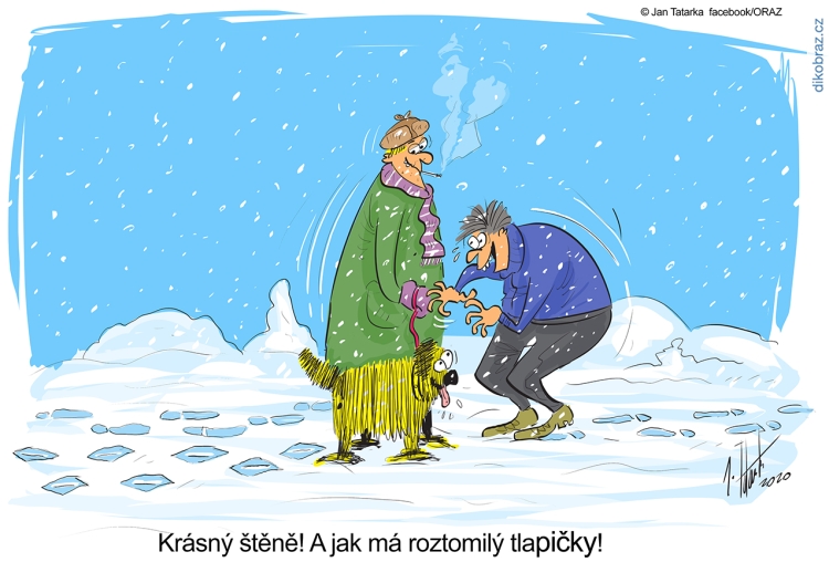 Jan Tatarka vtipy č.24860 - 