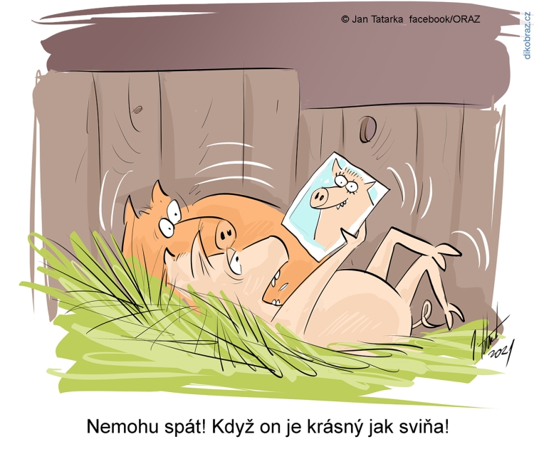 Jan Tatarka vtipy č.26307 - 