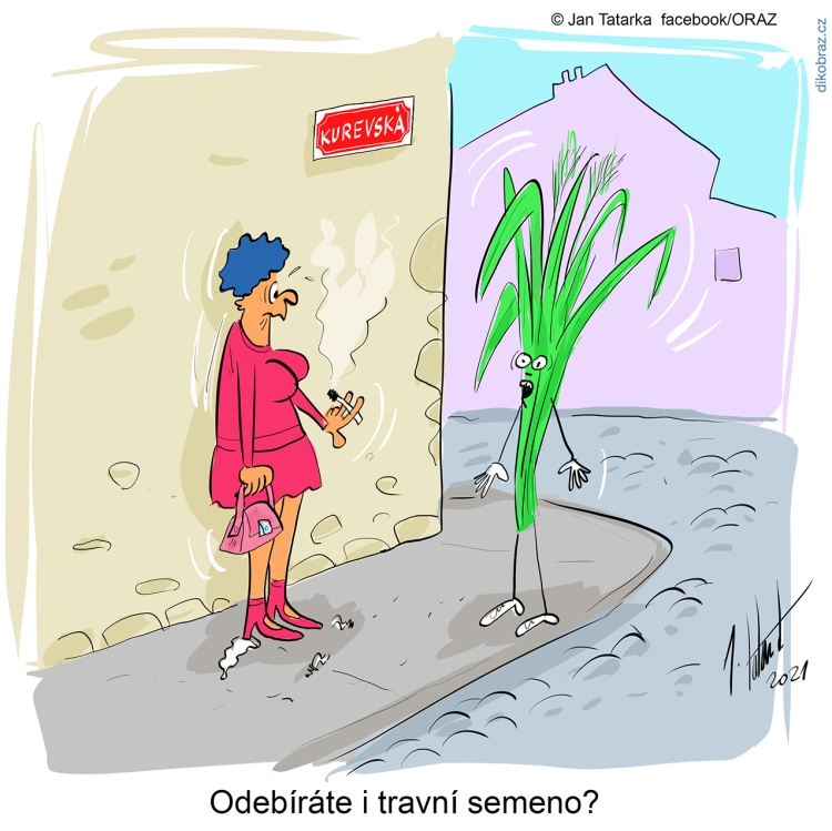 Jan Tatarka vtipy č.34837 - 