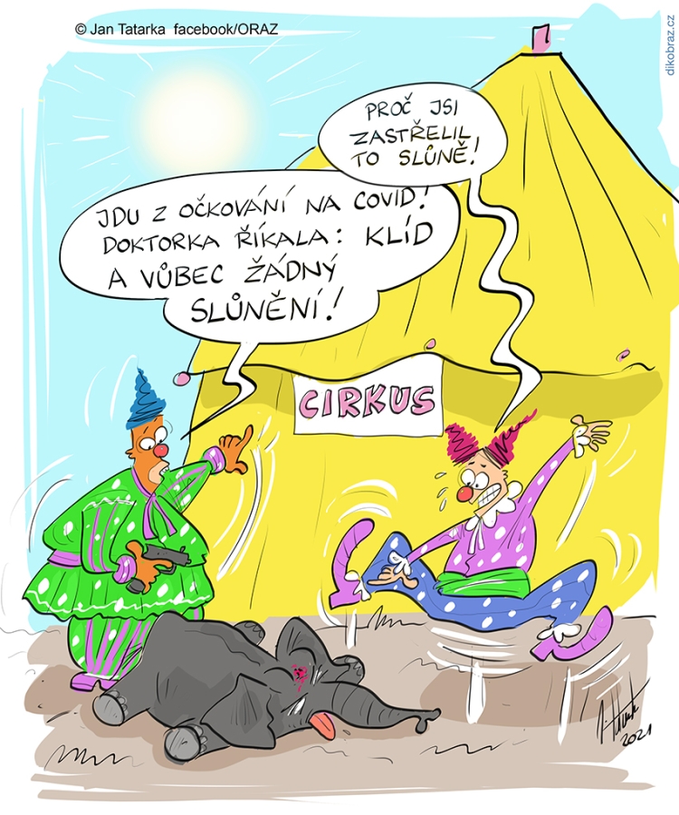 Jan Tatarka vtipy č.36005 - 