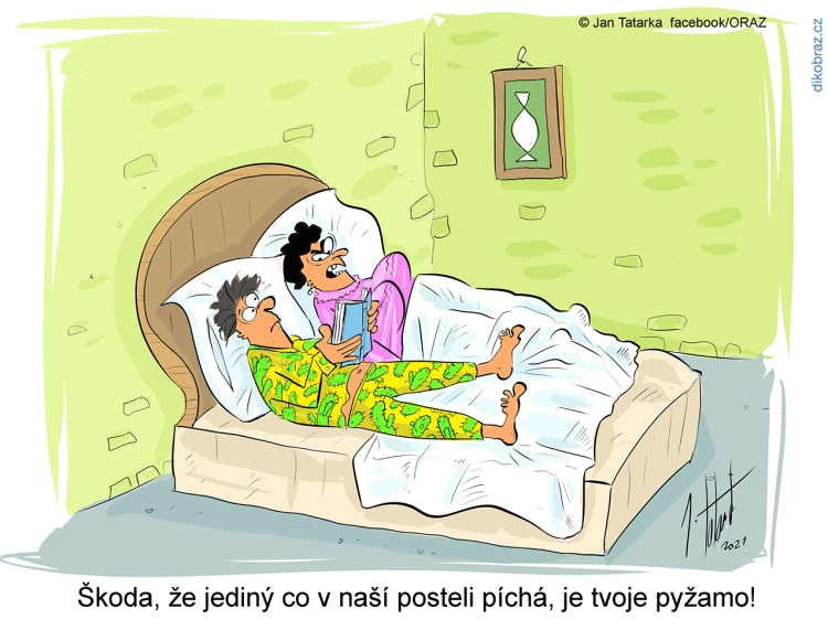 Jan Tatarka vtipy č.40131 - 